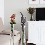 Appartement Bonaca *